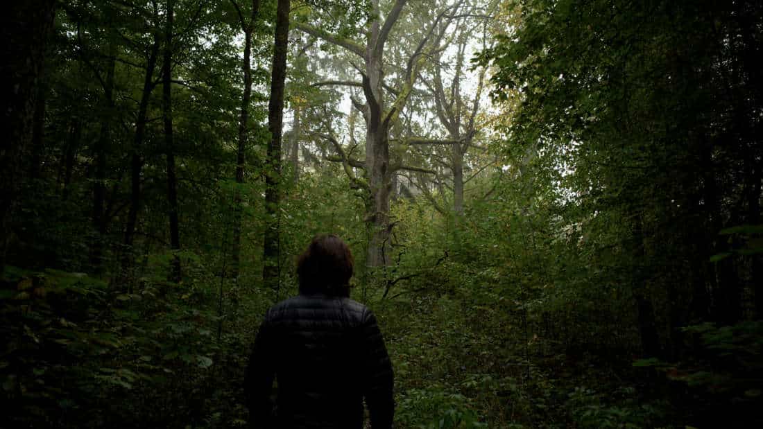 Un homme marche dans la forêt